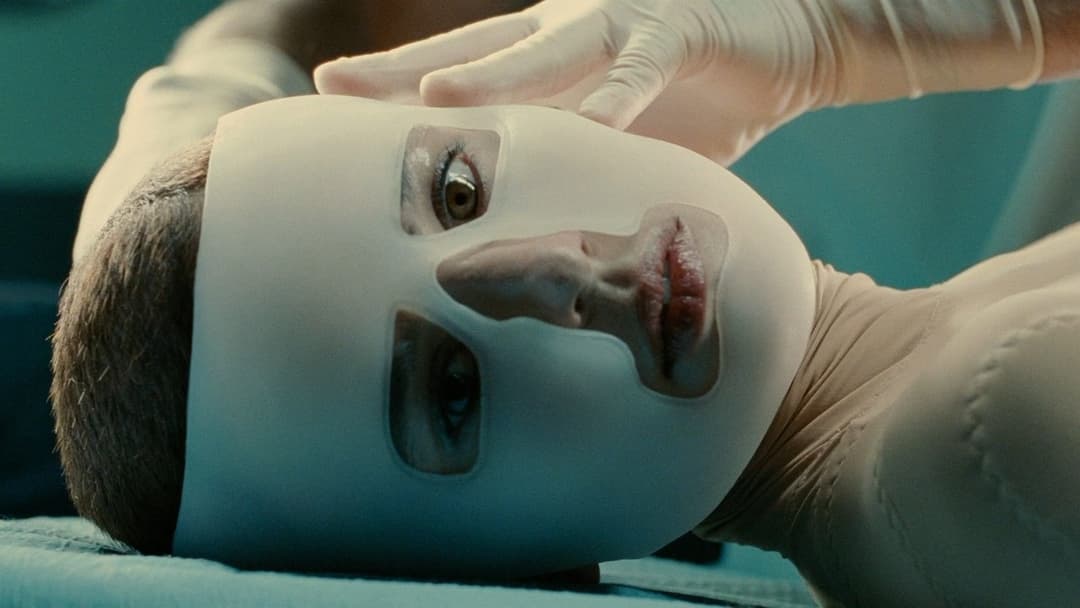 Die Haut, in der ich wohne backdrop 8