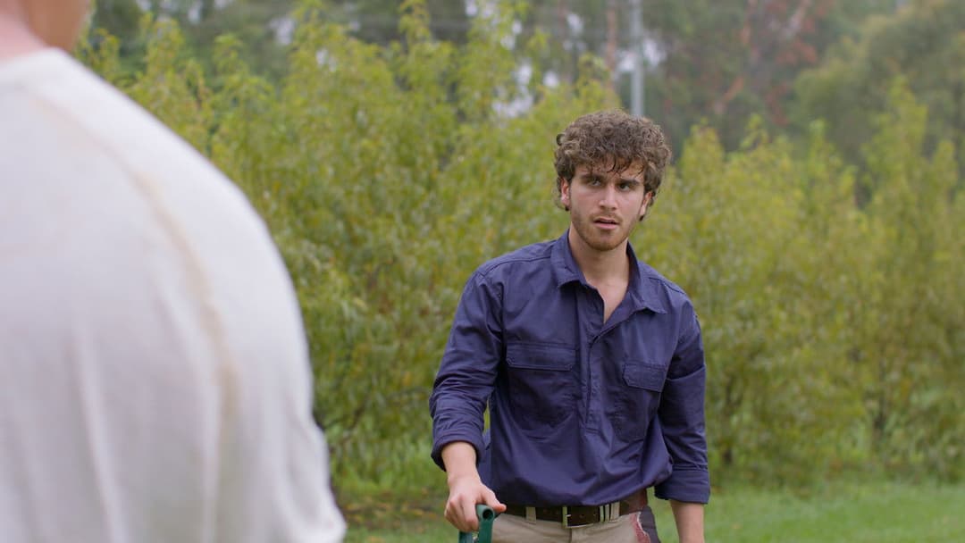 Where the Light Fades backdrop 2