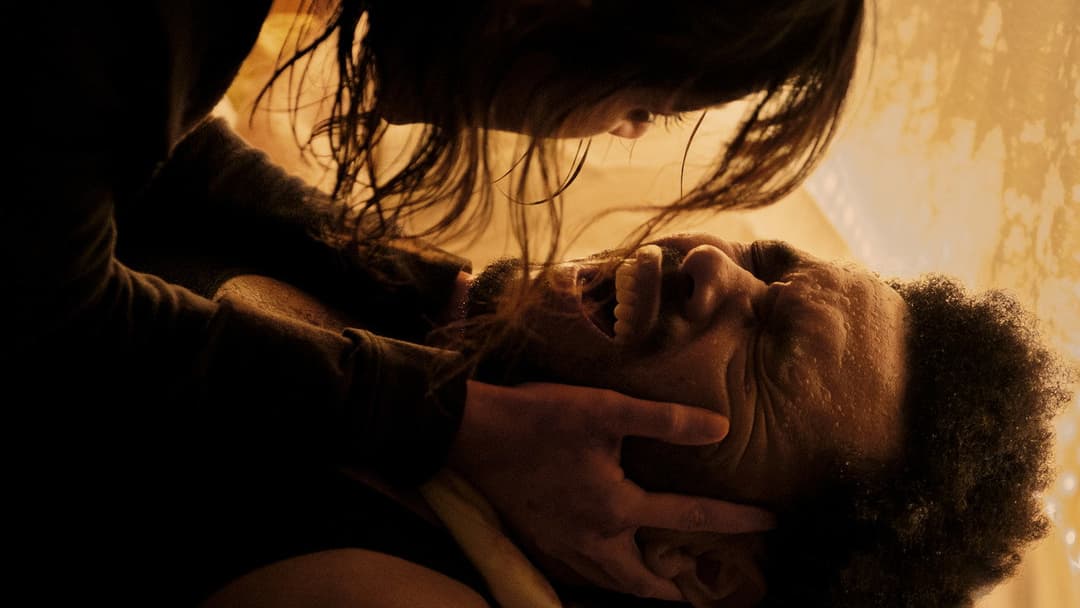 Hurry Up Tomorrow backdrop 6