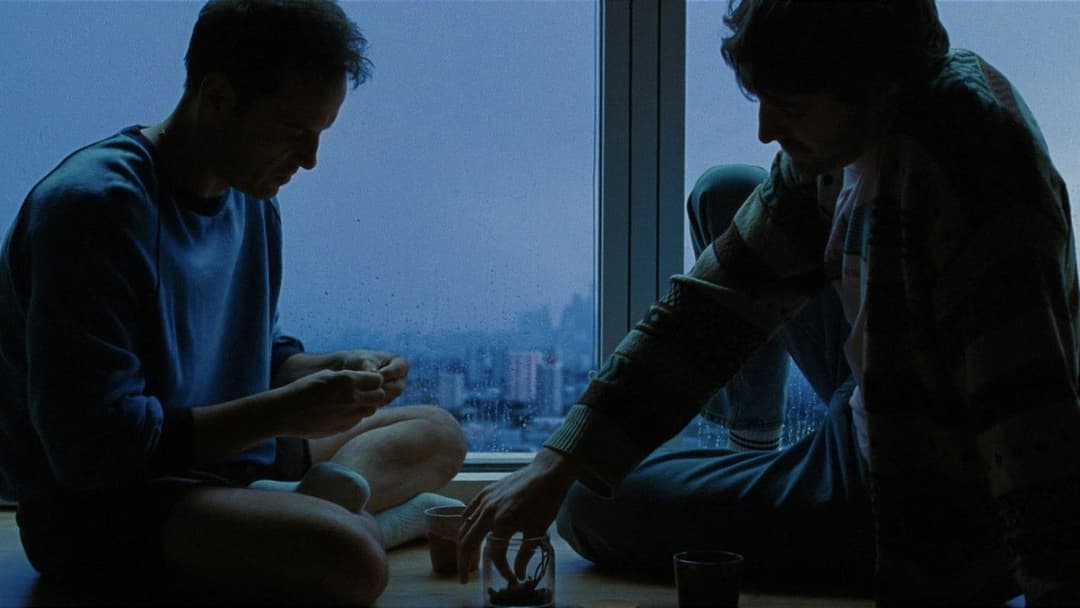 Ми всі - незнайомці backdrop 7