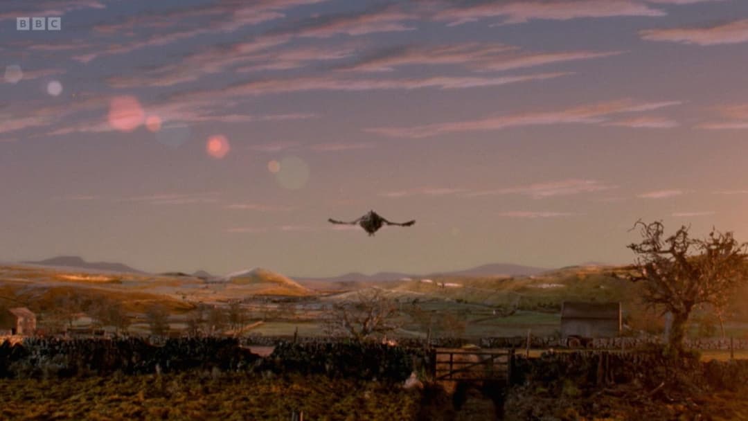 Chicken Run - Hennen rennen backdrop 16