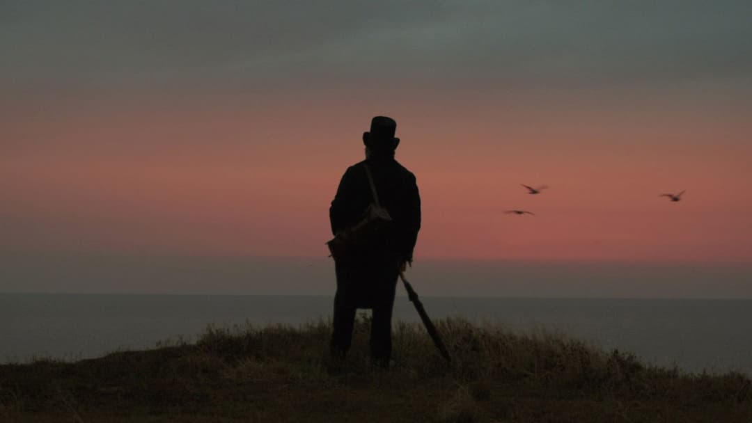 Mr. Turner - Meister des Lichts backdrop 10