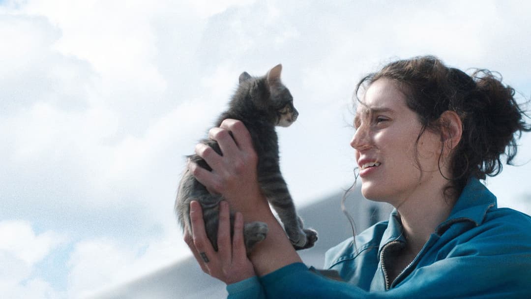 Пробач, дівчинко backdrop 3