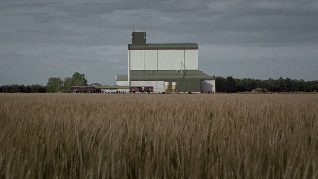 Час вовків backdrop 6