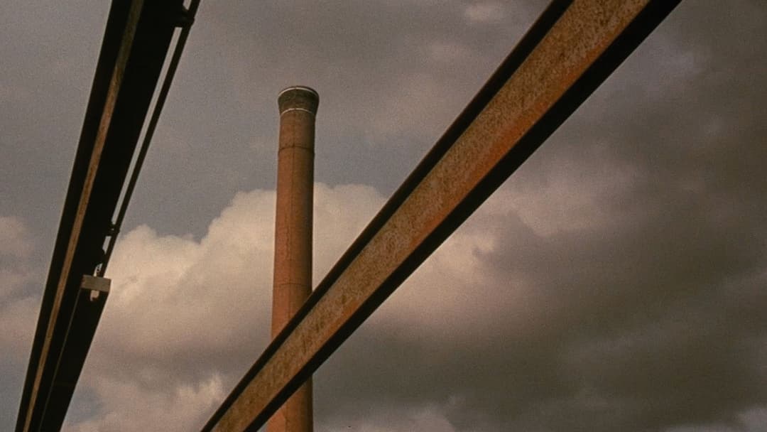 All the Real Girls backdrop 3