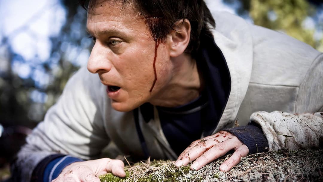 Verblendung backdrop 14