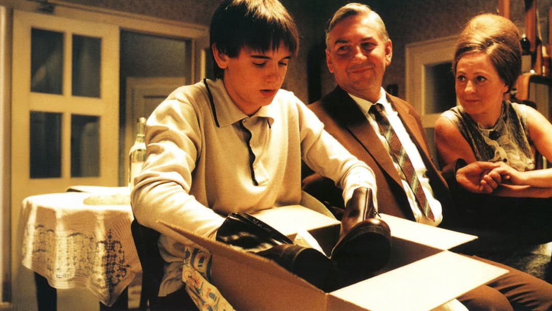 Cosy Dens backdrop 4