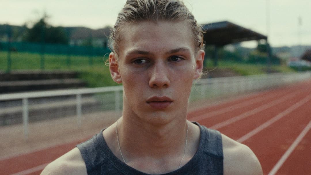 Wild Foxes backdrop 8