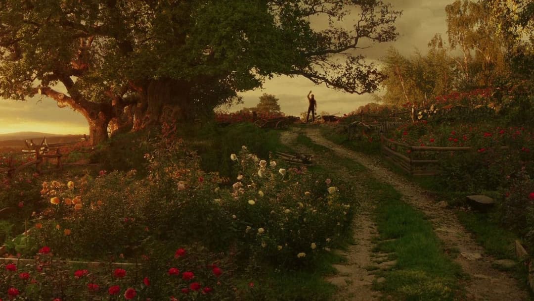 Красуня та чудовисько backdrop 11