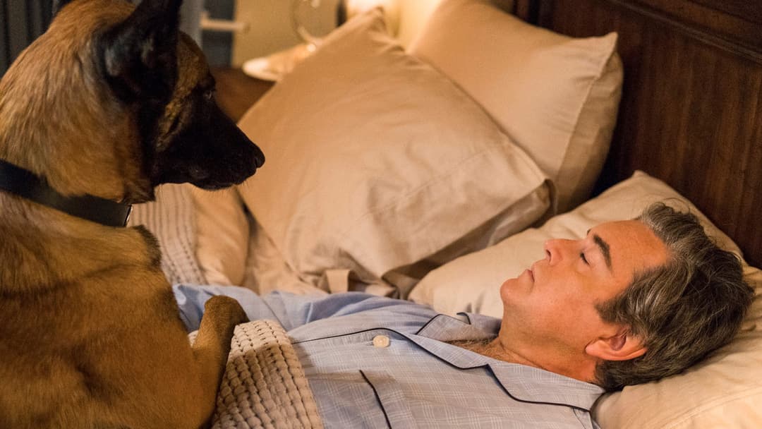 Psych 2: Lassie Come Home backdrop 7