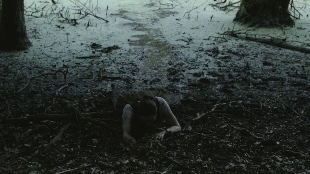 Відьми backdrop 2