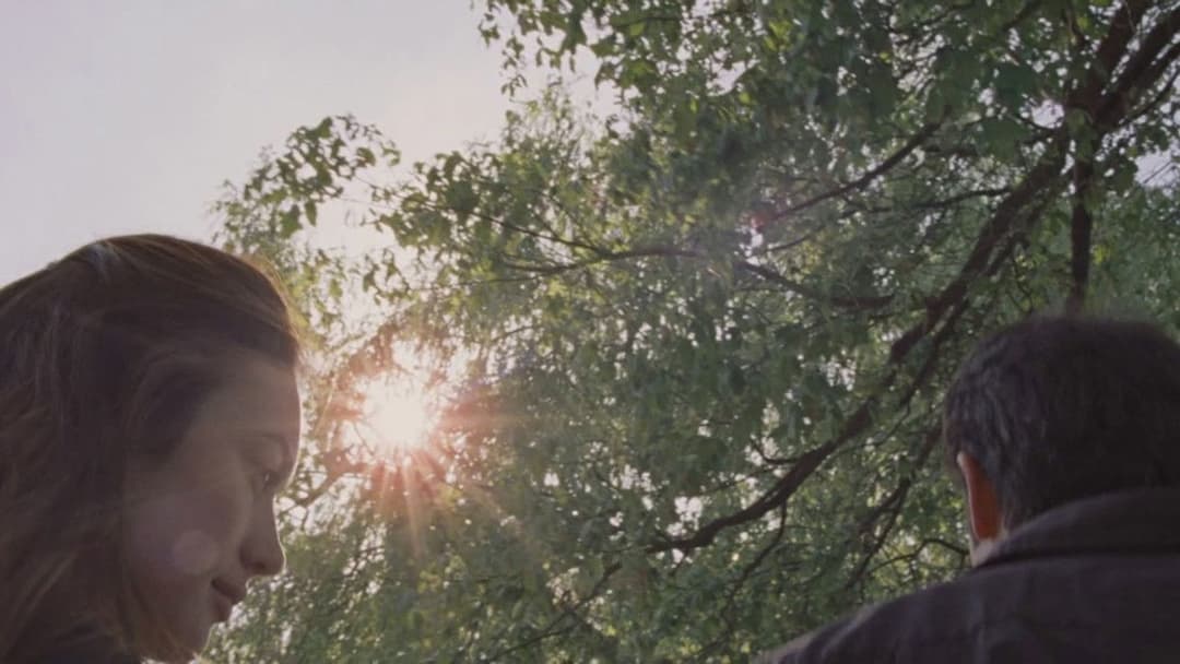 To the Wonder backdrop 19