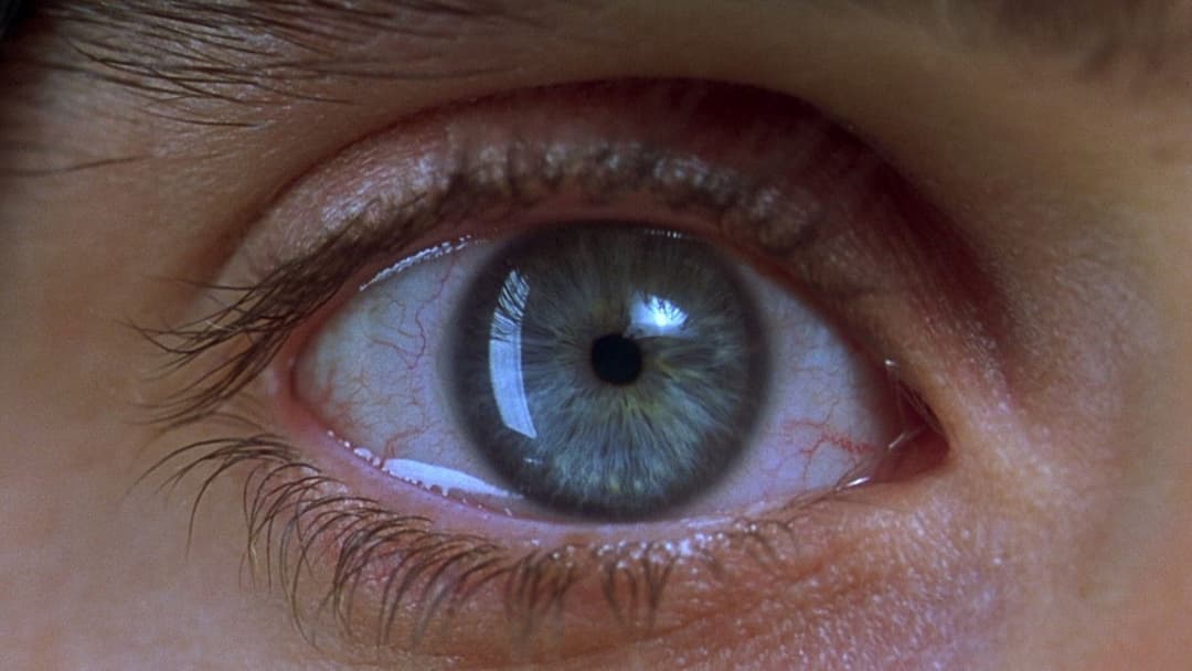 Реквієм за мрією backdrop 12