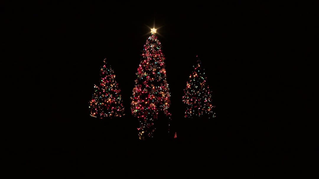 Хто в домі тато 2 backdrop 15