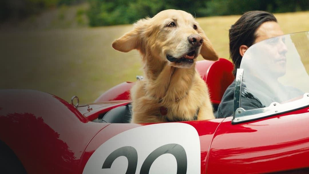 Enzo und die wundersame Welt der Menschen backdrop 14