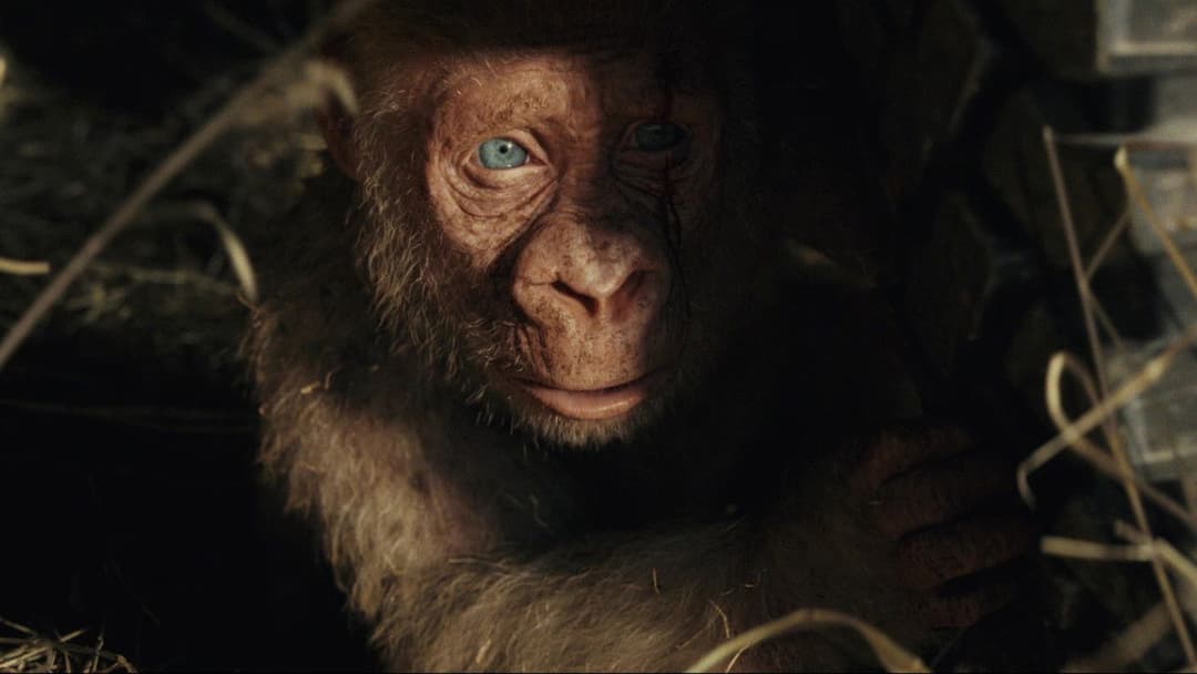 Rampage - Big meets Bigger backdrop 8