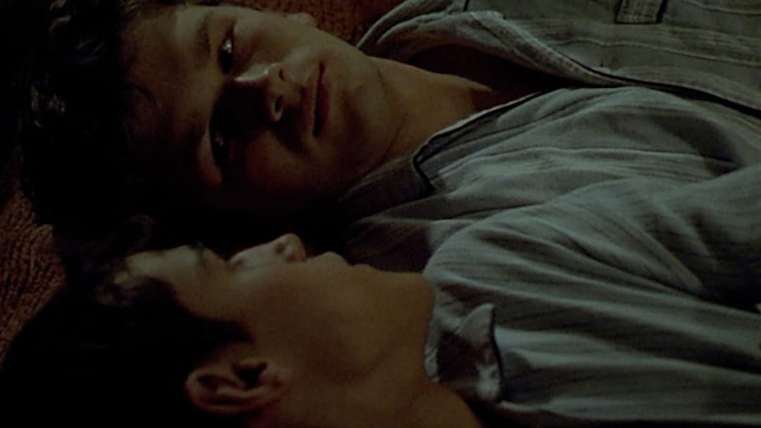 Les Roseaux sauvages backdrop 6