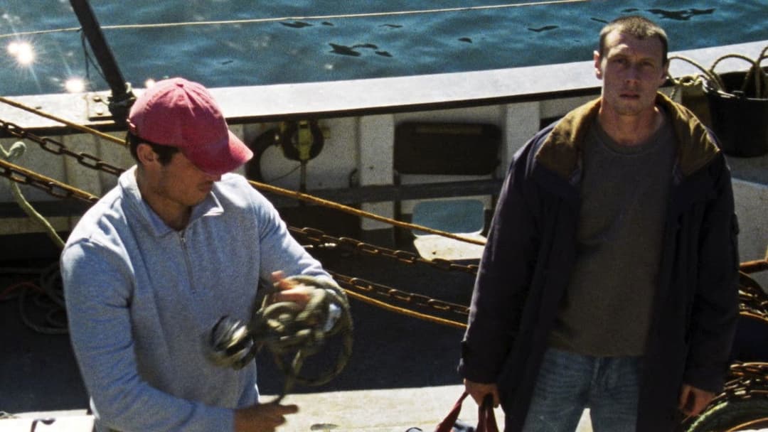 Троянда Невади backdrop 3