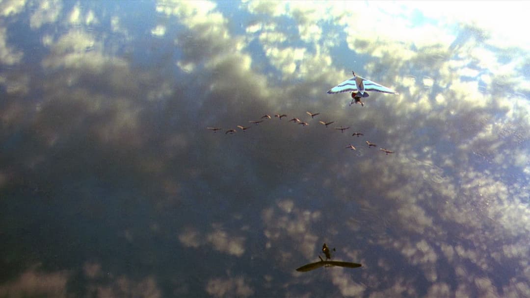 Летіть додому backdrop 3