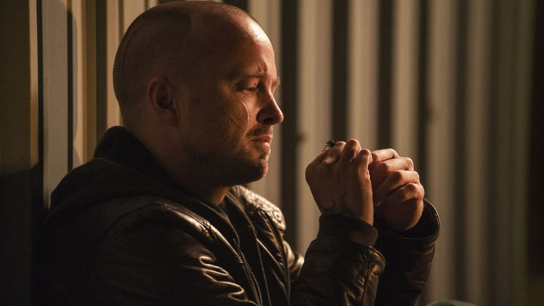 El Camino: Ein „Breaking Bad“-Film backdrop 17