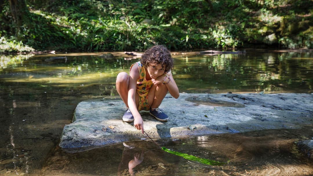 Fridas Sommer backdrop 6