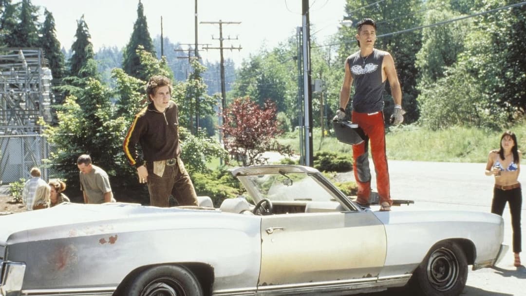 Шосе backdrop 11