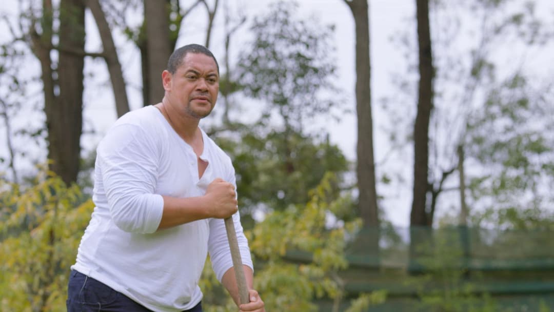 Where the Light Fades backdrop 7