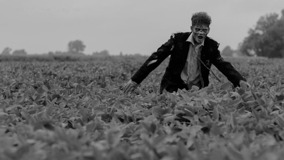 Vampire Zombies...from Space! backdrop 6