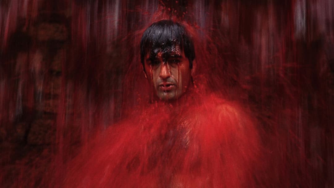 O Som ao Redor backdrop 1