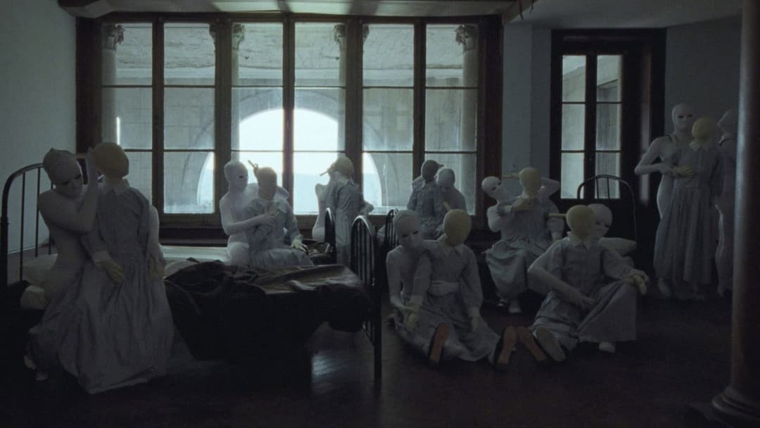 Discipline backdrop 1