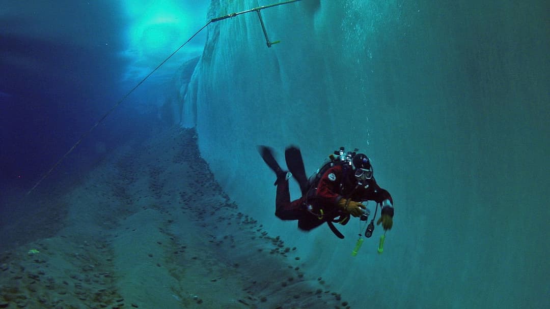 Begegnungen am Ende der Welt backdrop 6