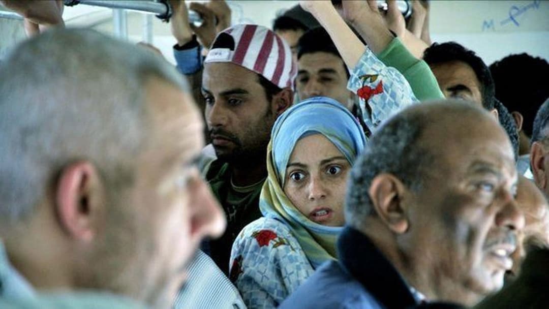 Cairo 6,7,8 backdrop 4