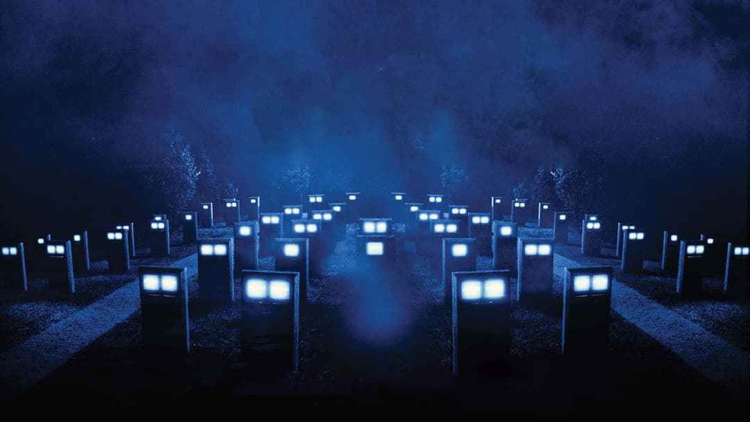 The Shrouds backdrop 3