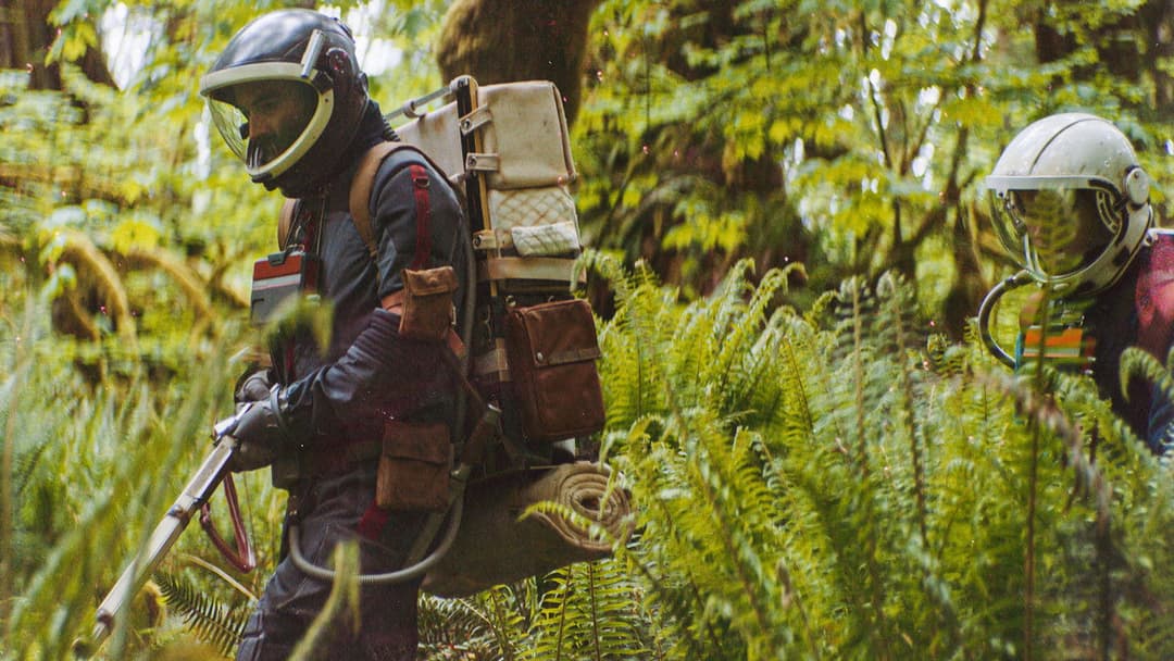 Перспектива backdrop 19