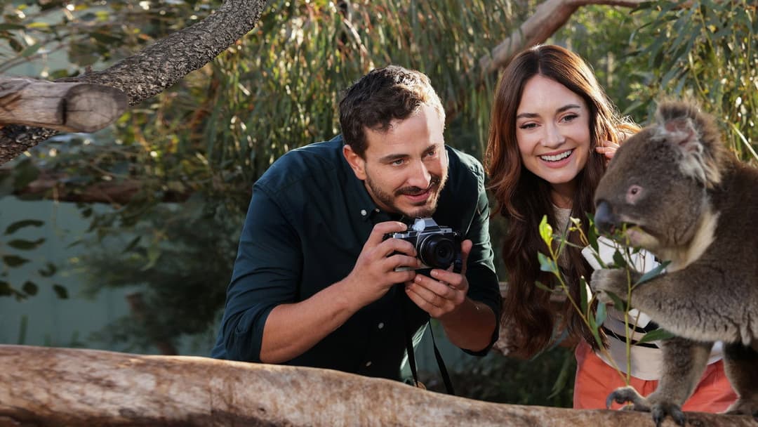 A Melbourne Match backdrop 3