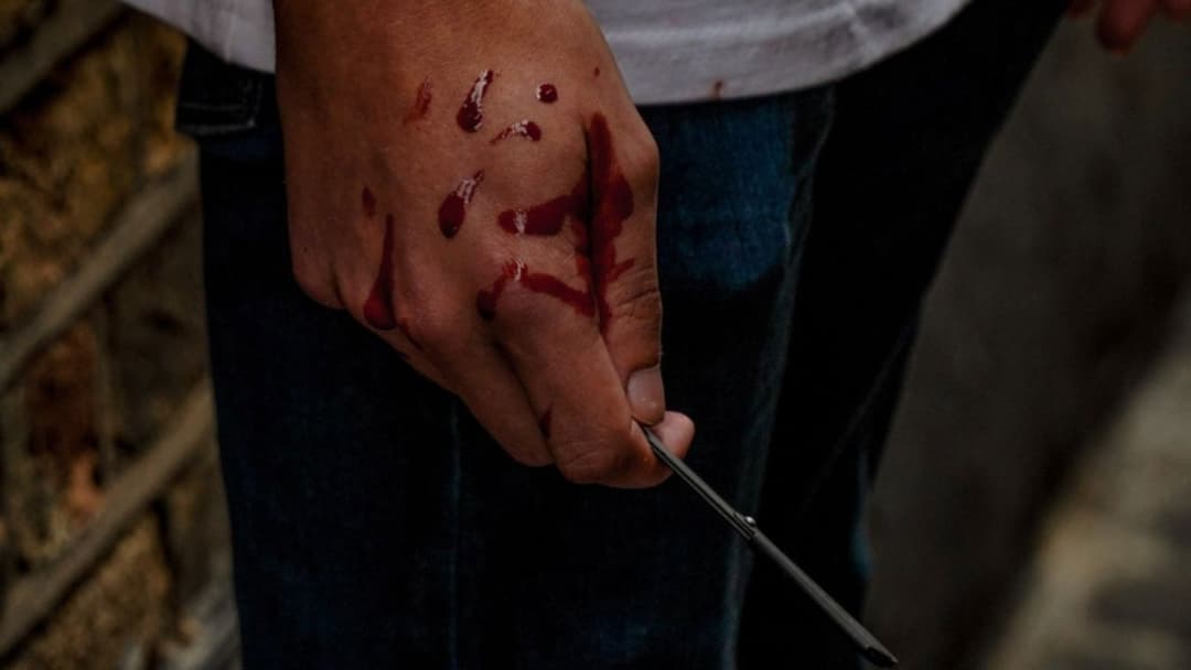 Magenta House backdrop 1