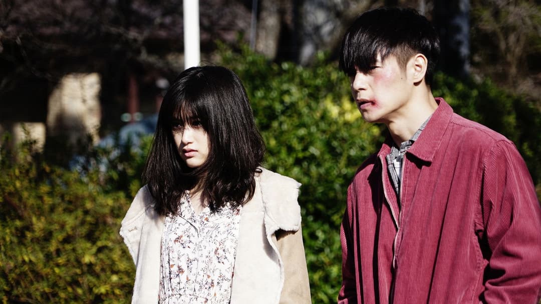 Перше кохання backdrop 8