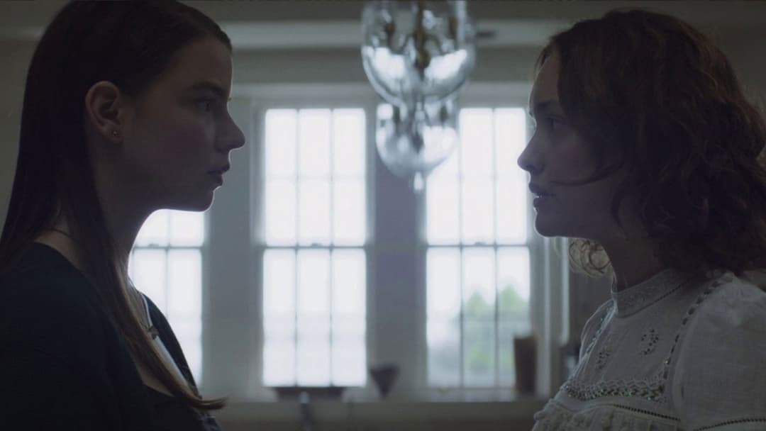 Vollblüter backdrop 5