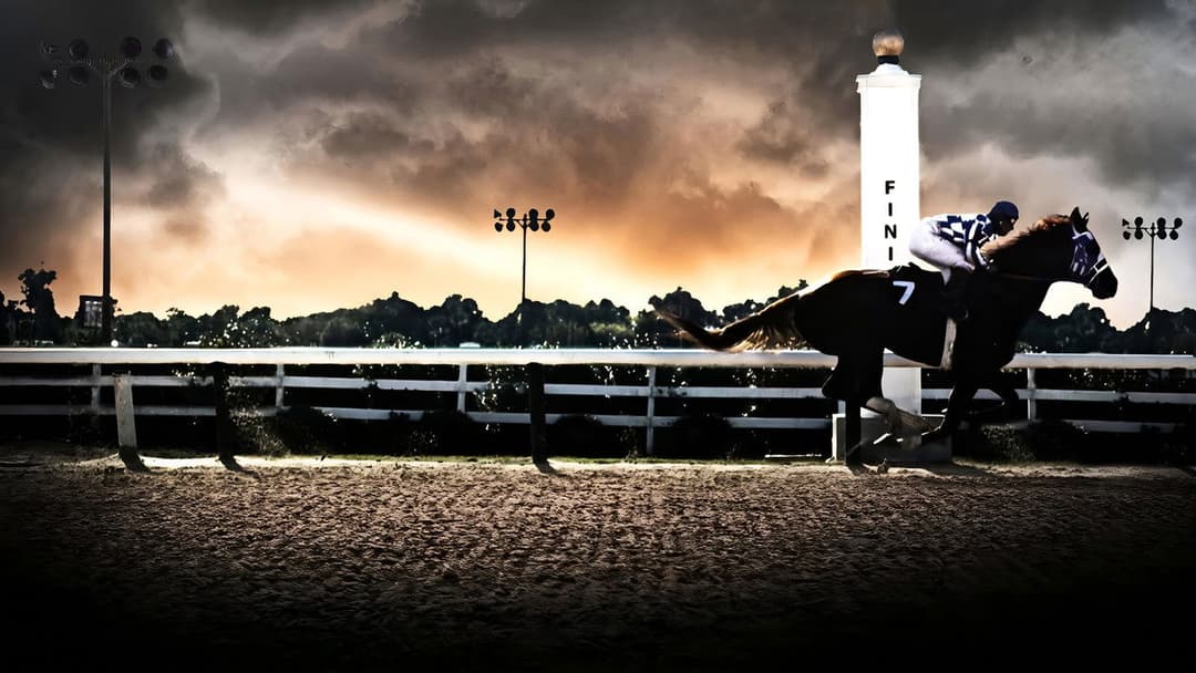 Чемпіон backdrop 3