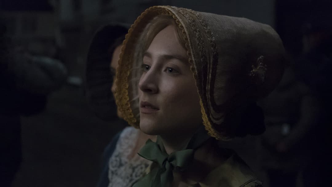 Ammonite backdrop 10