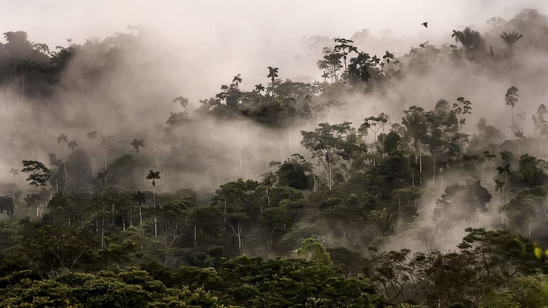 Потрійний кордон backdrop 9