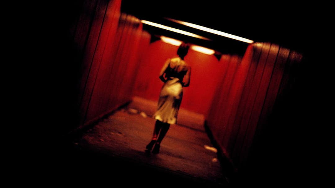 Незворотність backdrop 4