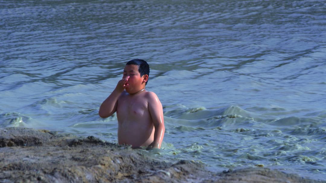 The Rib of the Greater Bay Area backdrop 2