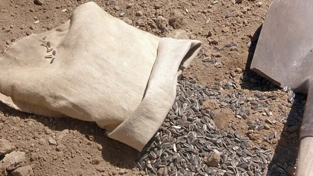 Das Geheimnis von Green Lake backdrop 18