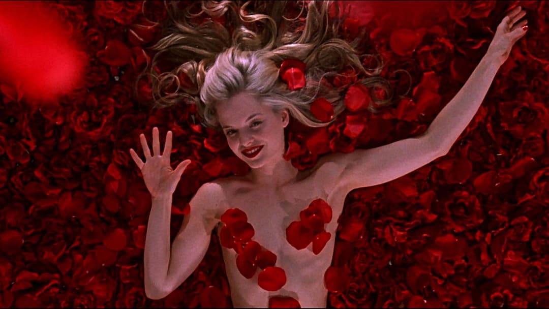 American Beauty backdrop 11