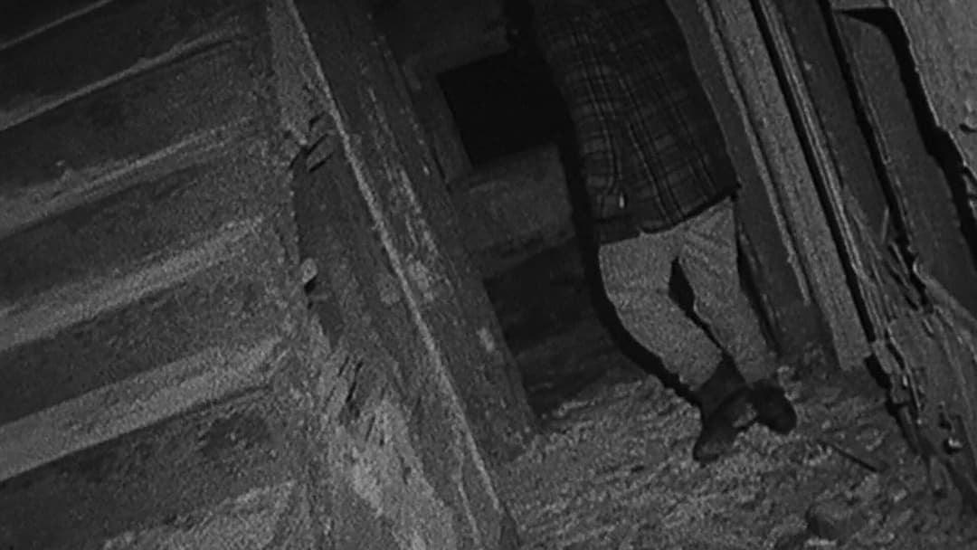 Blair Witch Project backdrop 8