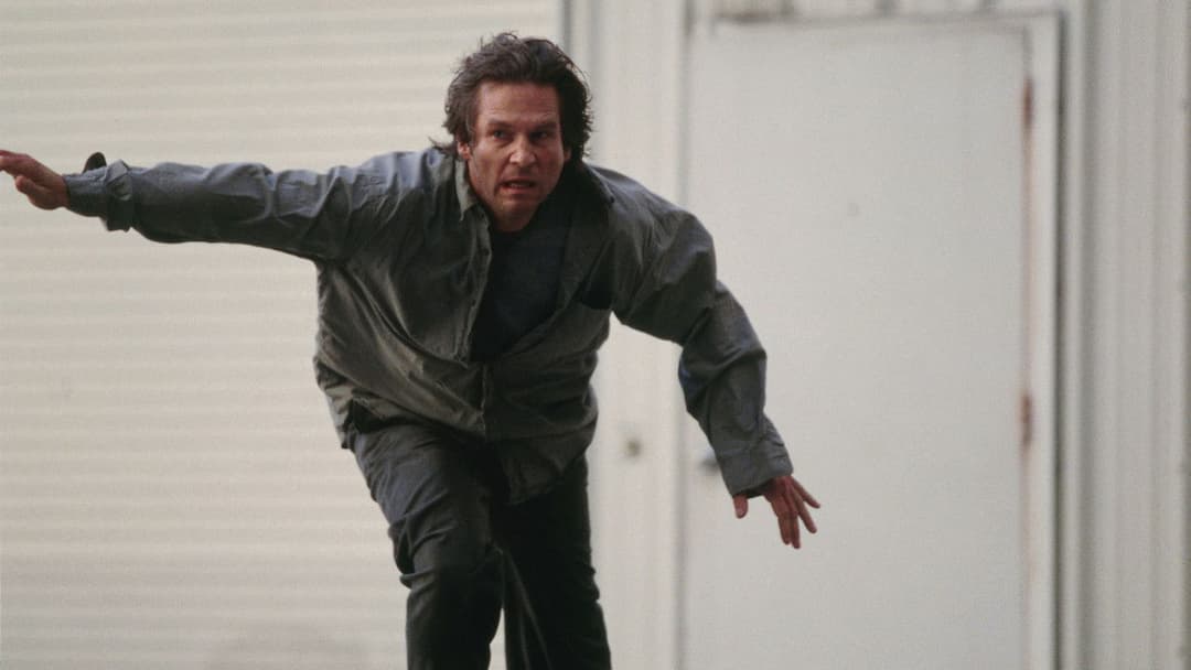 Дорога на Арлінгтон backdrop 11