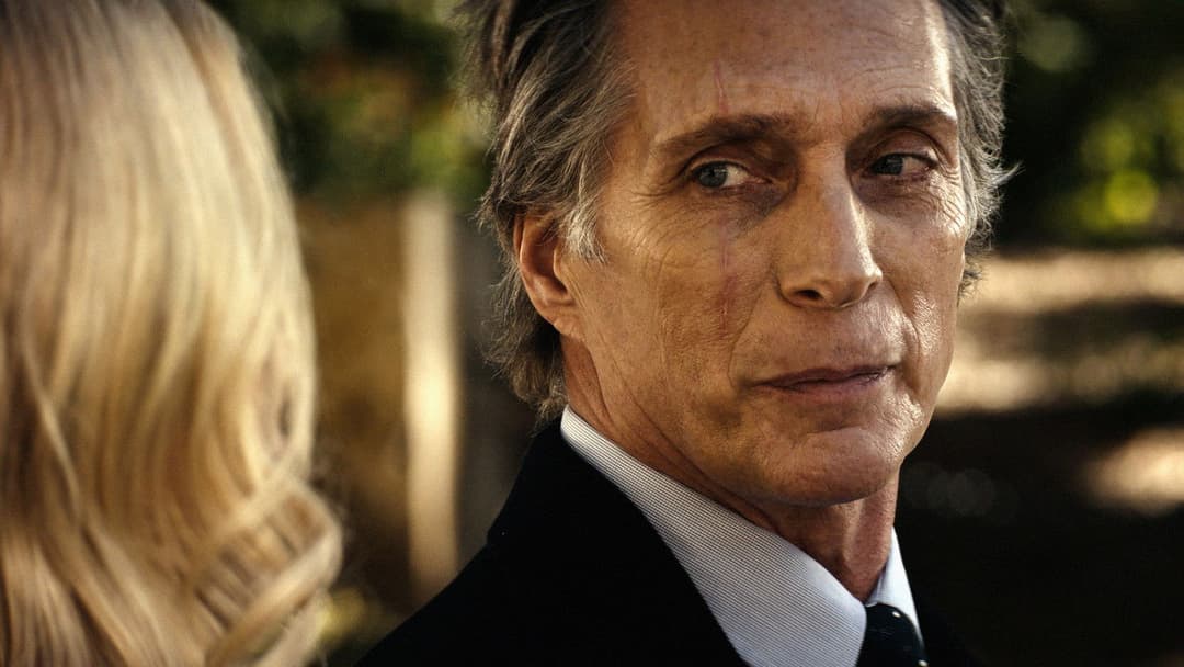 Hypnotic backdrop 11