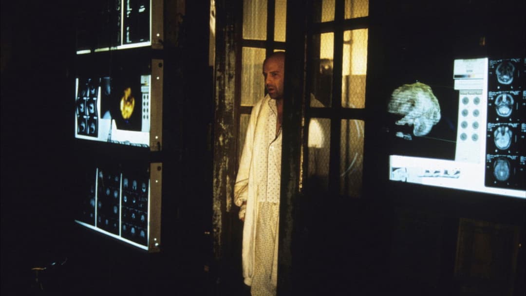 12 мавп backdrop 18