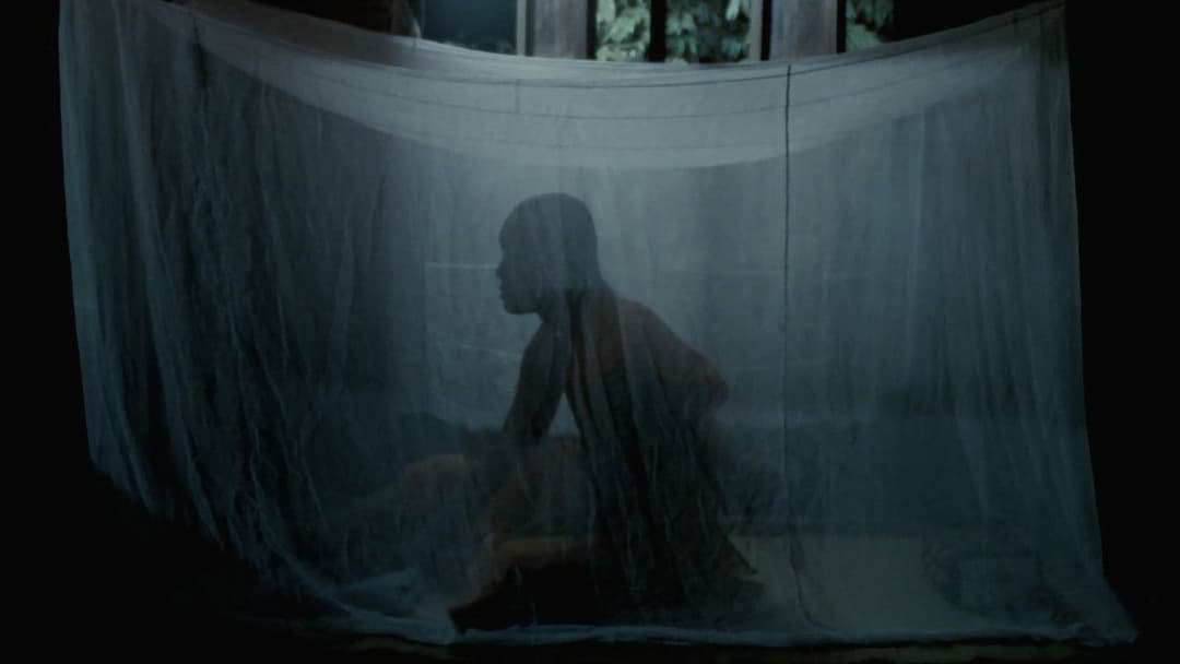 Дядечко Бунмі, який пам'ятає свої минулі життя backdrop 14